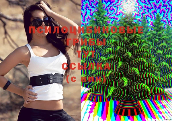 jwh Беломорск