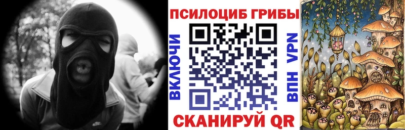 Галлюциногенные грибы Psilocybine cubensis  ОМГ ОМГ ссылки  даркнет официальный сайт  Южно-Сухокумск 